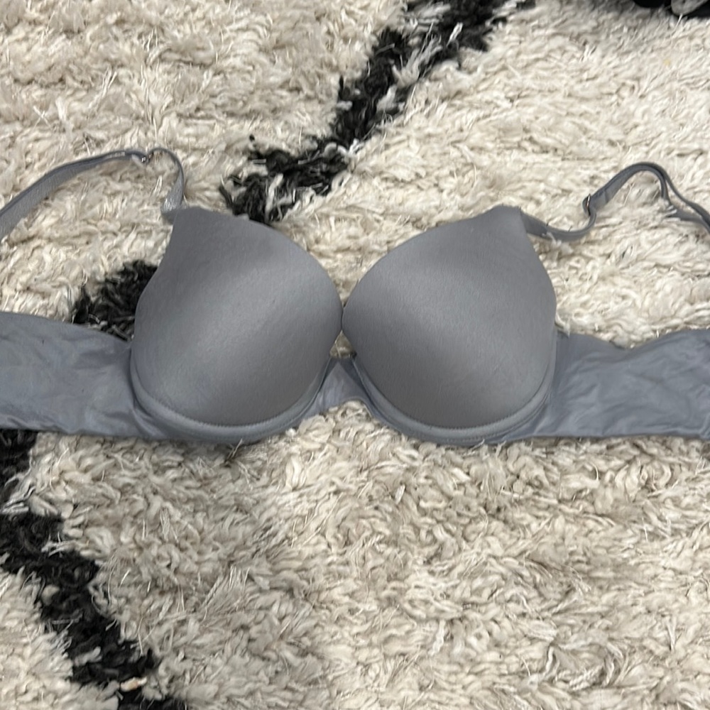 Aerie Gray Push Up Bra